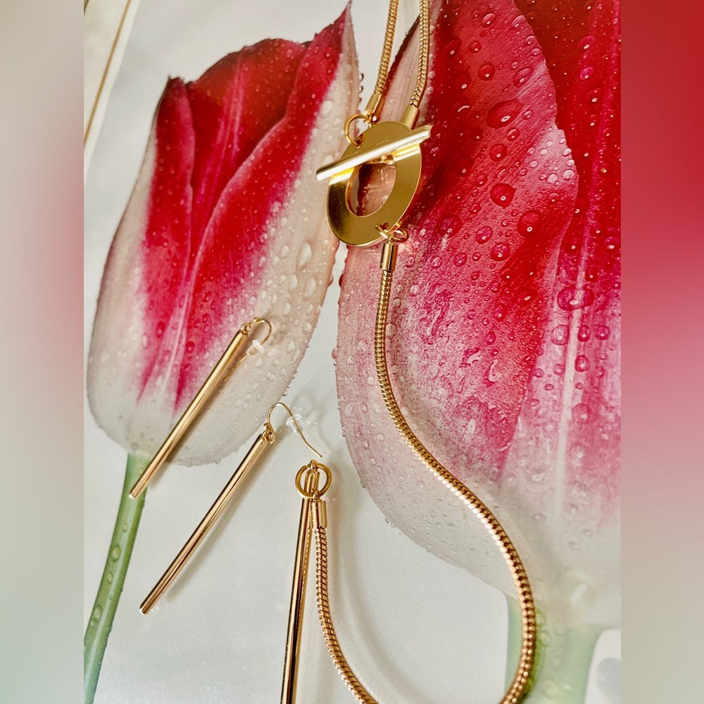 Gold Plated Necklace And Earring Set